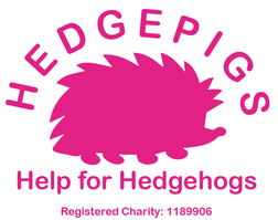 Hedgepigs